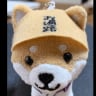 てんりゅう 